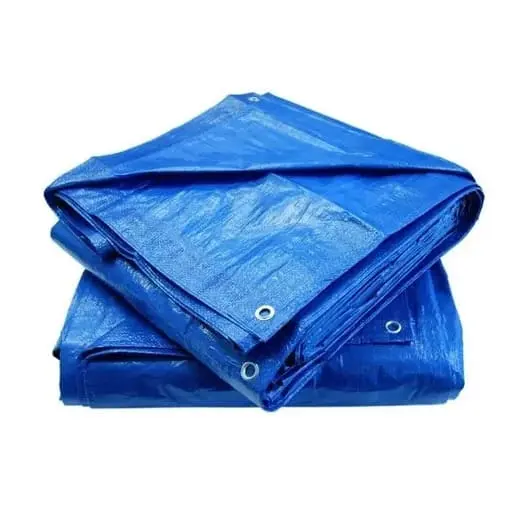 Imagem - Lona de Polietileno Azul